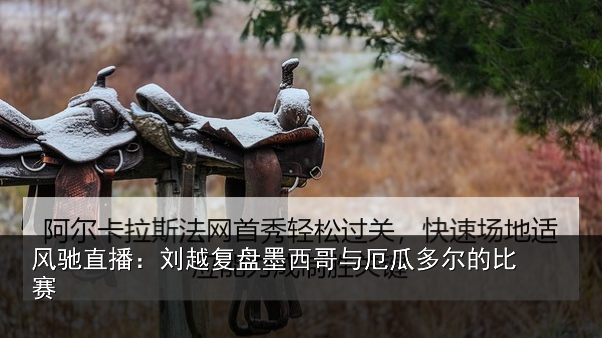 风驰直播：刘越复盘墨西哥与厄瓜多尔的比赛