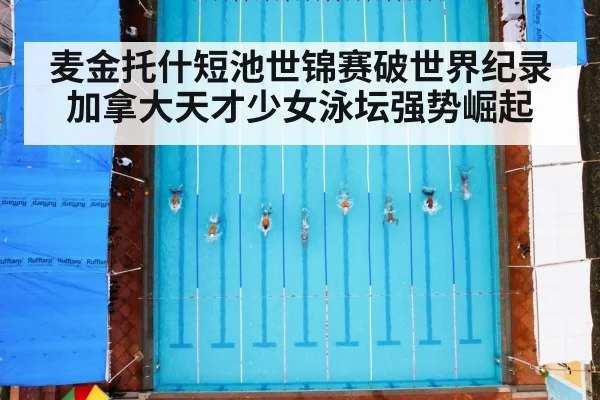 麦金托什短池世锦赛破世界纪录 加拿大天才少女泳坛强势崛起